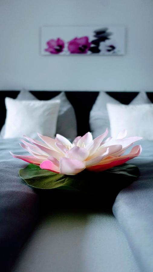Joe'S Appartement Ebbs Bilik gambar